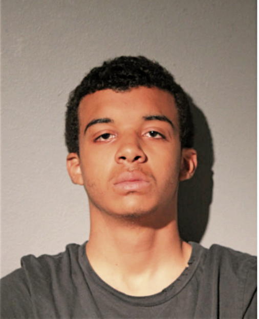 KYLE J GISSENDANNER, Cook County, Illinois