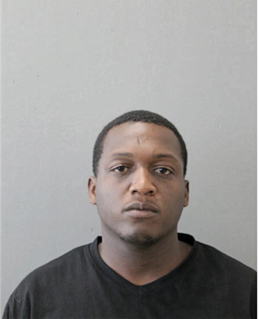 DENNIS M GRAYSON, Cook County, Illinois
