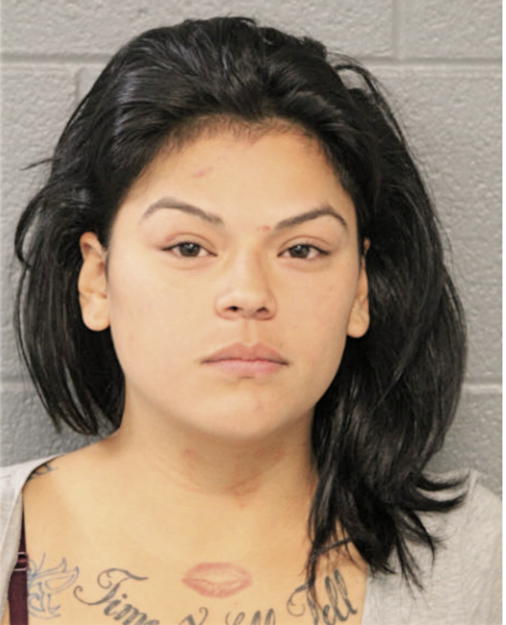 KARINA B HERNANDEZ, Cook County, Illinois
