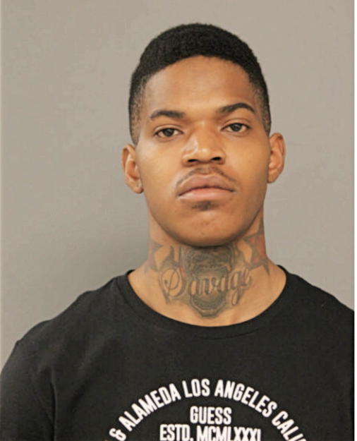 DARRELL A JOHNSON, Cook County, Illinois