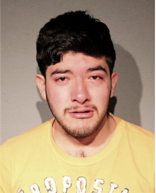 HECTOR MENDOZA, Cook County, Illinois