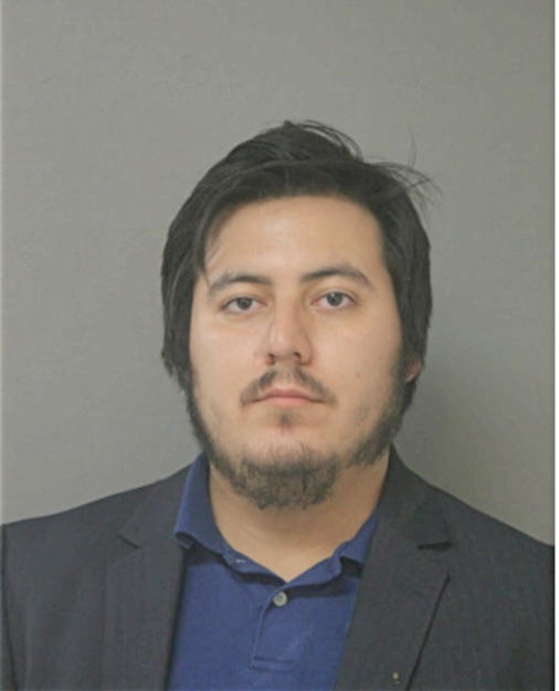 GIOVANNI A PALOMINO, Cook County, Illinois