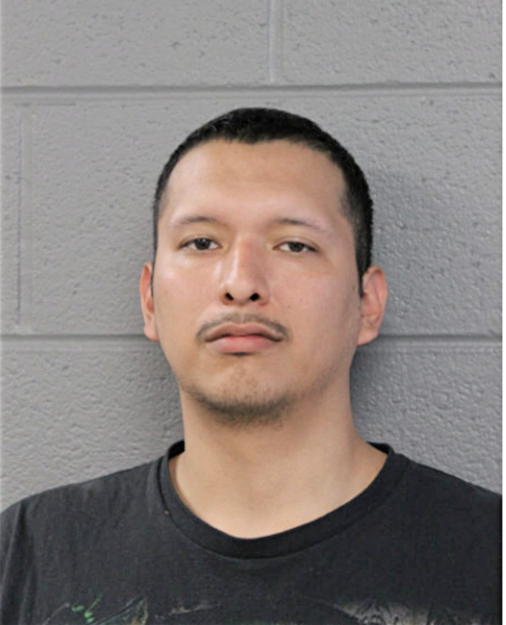 ENRIQUE PINA, Cook County, Illinois