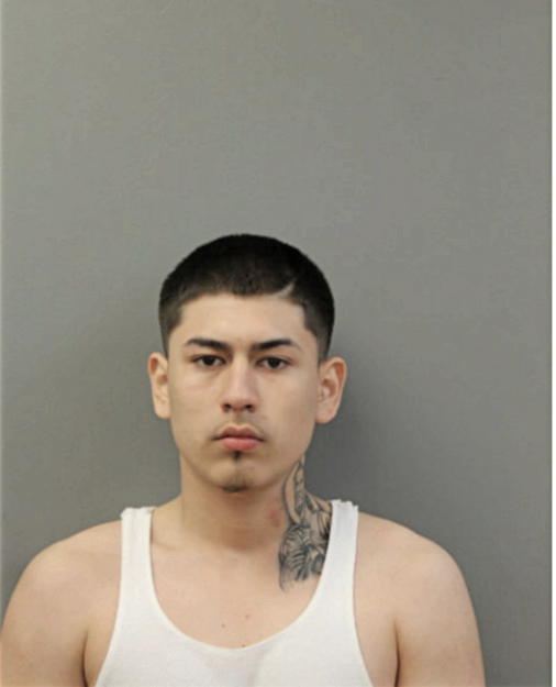 JONATHAN PIRIS, Cook County, Illinois