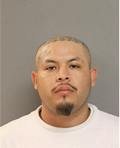 HECTOR RUIZ, Cook County, Illinois