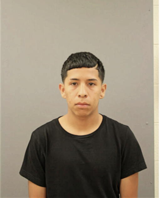 EMMANUEL M SALAZAR, Cook County, Illinois