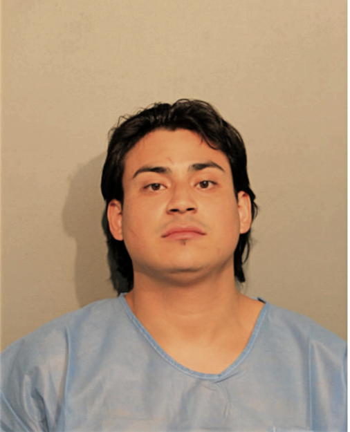 CHRISTIAN V SANCHEZ, Cook County, Illinois