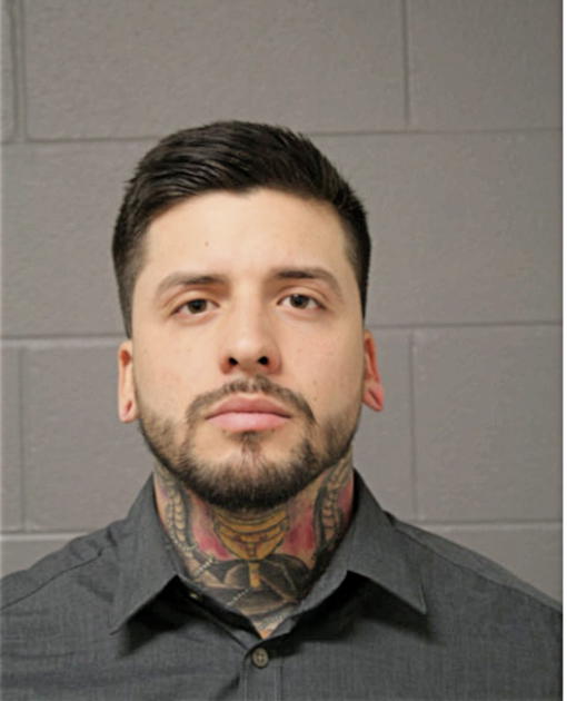 DIEGO E SANTOYO, Cook County, Illinois