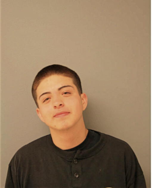 BRIAN VILLEGAS, Cook County, Illinois