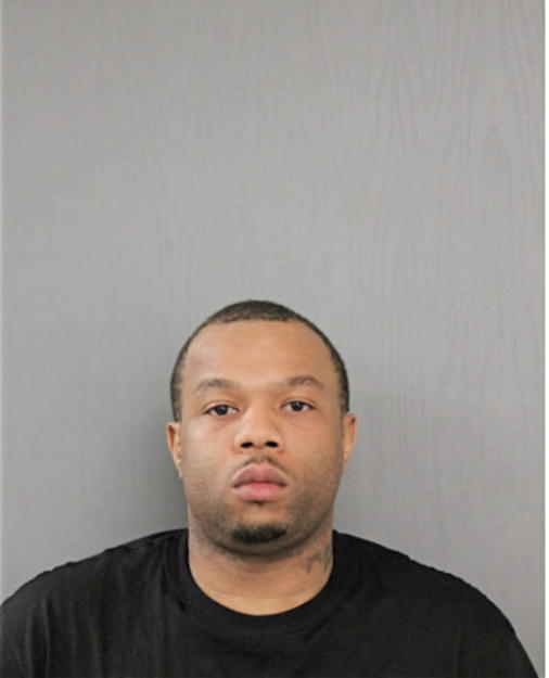 LAWERENCE J WATSON, Cook County, Illinois