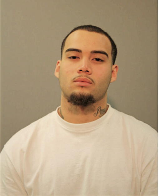 CHRISTOPHER L WILLIAMS, Cook County, Illinois