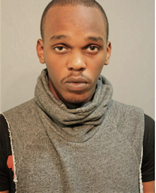 JULIUS T WILSON, Cook County, Illinois