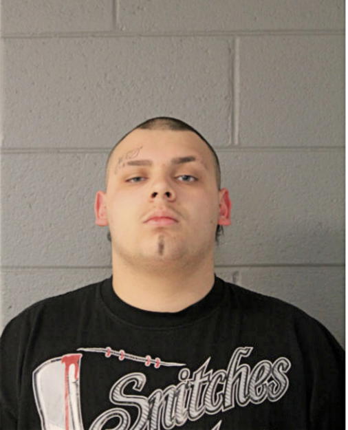 GINO F ZEPEDA, Cook County, Illinois