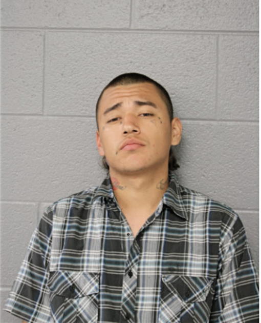JAVIER L CANO, Cook County, Illinois