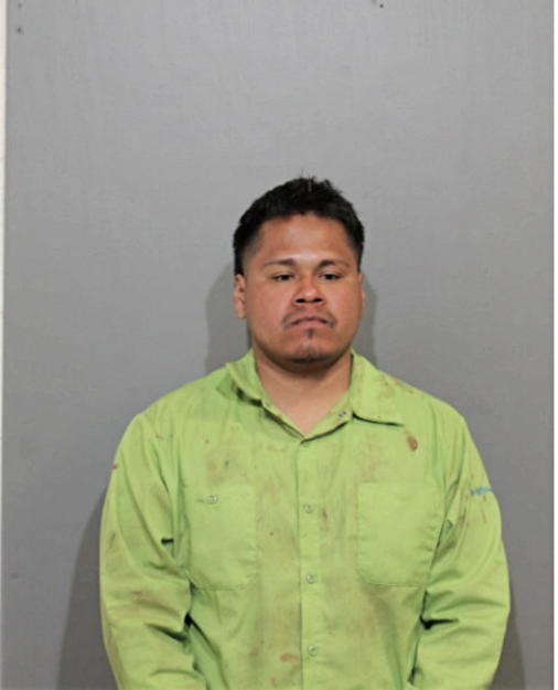JOAQUIN O CASTILLO-ATA, Cook County, Illinois