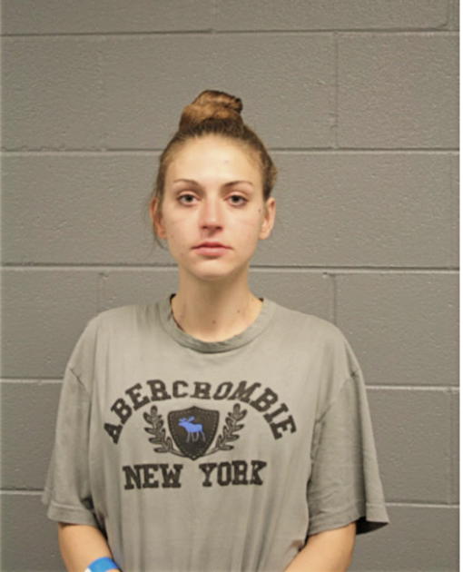 SHANNON CHILDRESS, Cook County, Illinois