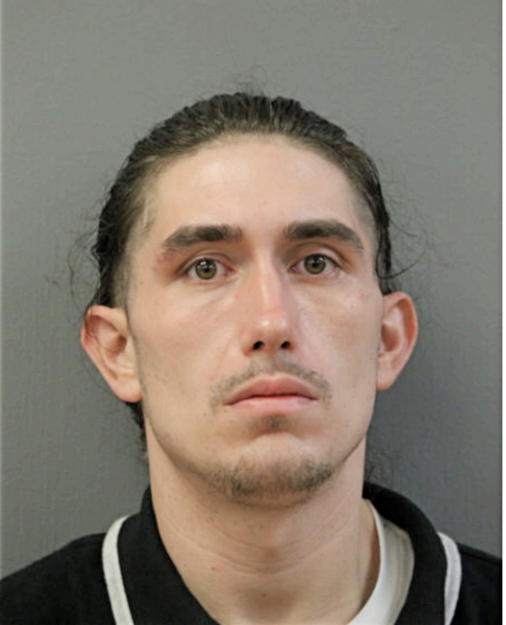 DAVID D DIAZ, Cook County, Illinois