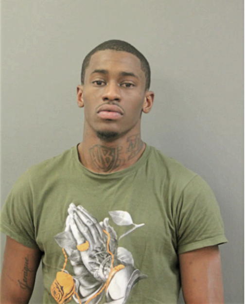 AARON A DIXON, Cook County, Illinois