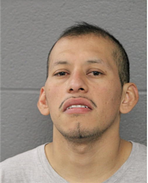 LUIS ORTIZ GARCIA, Cook County, Illinois