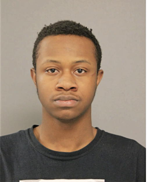 DAYON T GOREE, Cook County, Illinois