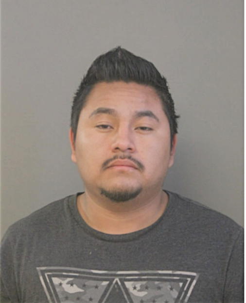 ANDERSON GUZMAN-RAMIREZ, Cook County, Illinois