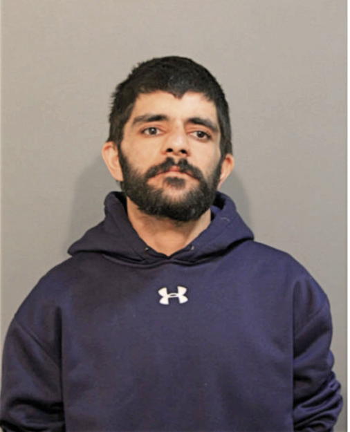 MARK A JAIKARAN, Cook County, Illinois