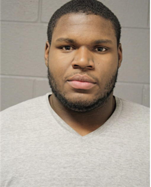 TERRANCE A JOHNSON, Cook County, Illinois