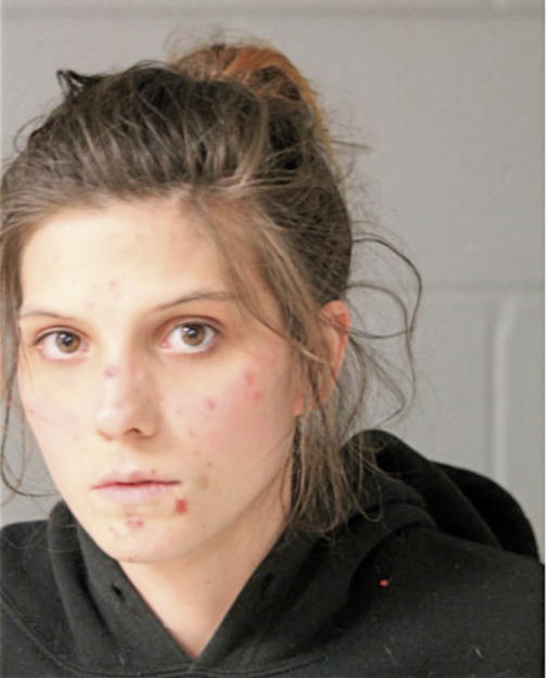 MEGAN M LAIR, Cook County, Illinois