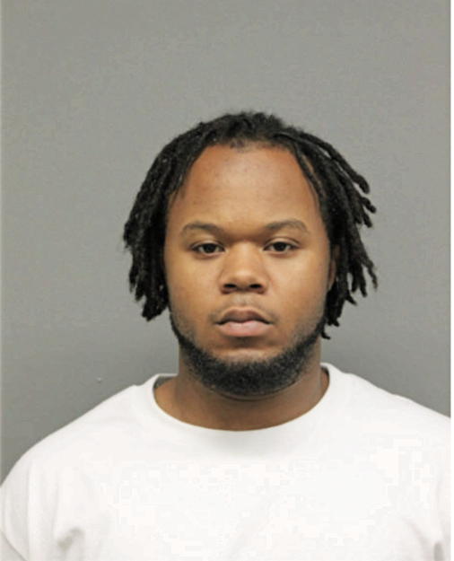 ERIC D LONBERGER, Cook County, Illinois