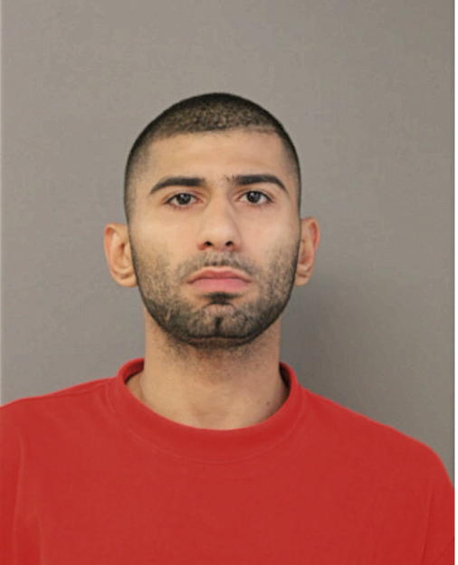 SAKEB N MANSUR, Cook County, Illinois