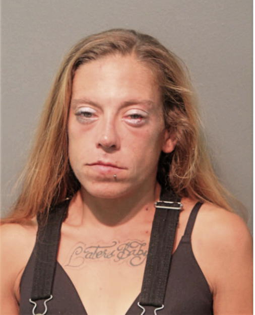MEGAN L MARIN, Cook County, Illinois