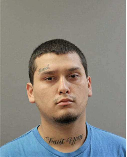CHEECH R MARTINEZ, Cook County, Illinois