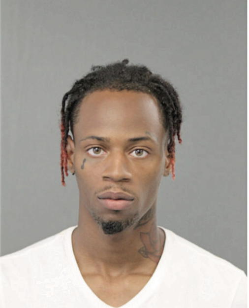 SOLOMON G MILLER, Cook County, Illinois