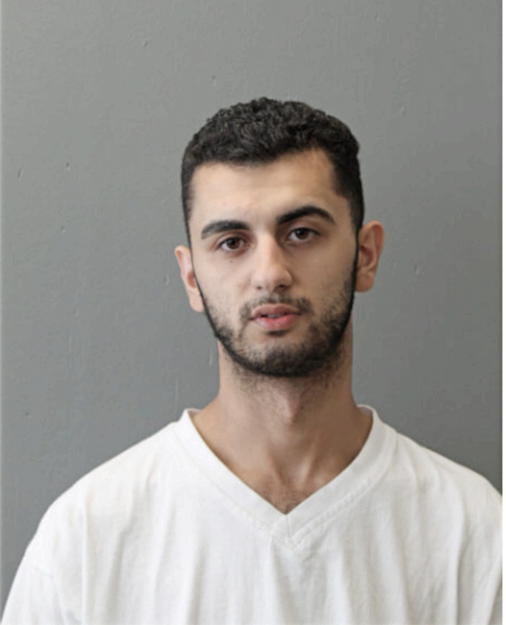 NOUR A OMAR, Cook County, Illinois