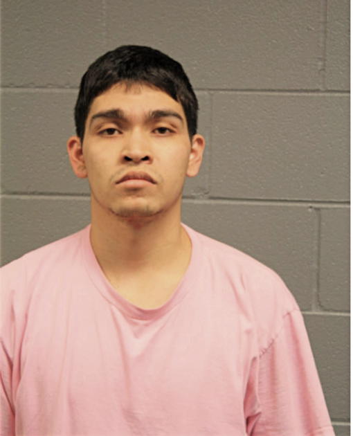 DAVI ORTEGA, Cook County, Illinois