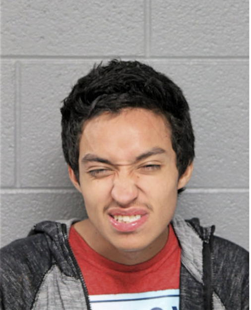 RICARDO ROJAS, Cook County, Illinois