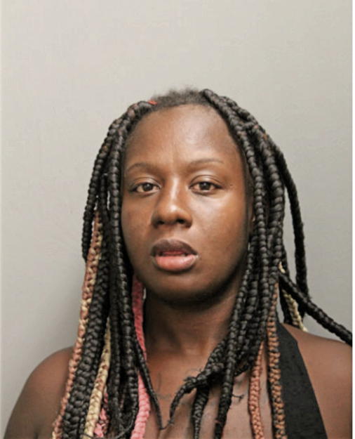 VERONICA L RUTHERFORD, Cook County, Illinois