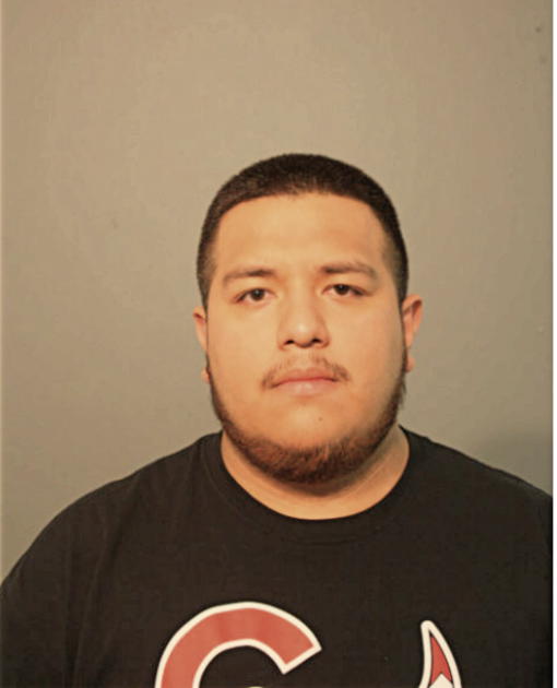 ROBERTO SOTELO, Cook County, Illinois