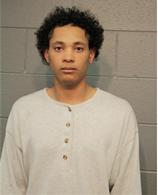 MATTHEW B SYLVAIN, Cook County, Illinois
