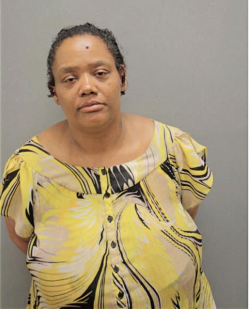 TAMARA N THOMPSON, Cook County, Illinois