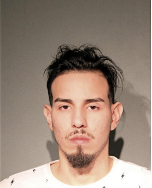 CARLOS ABEJA, Cook County, Illinois