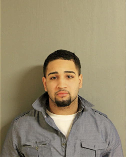 LUIS H ACEVEDO, Cook County, Illinois