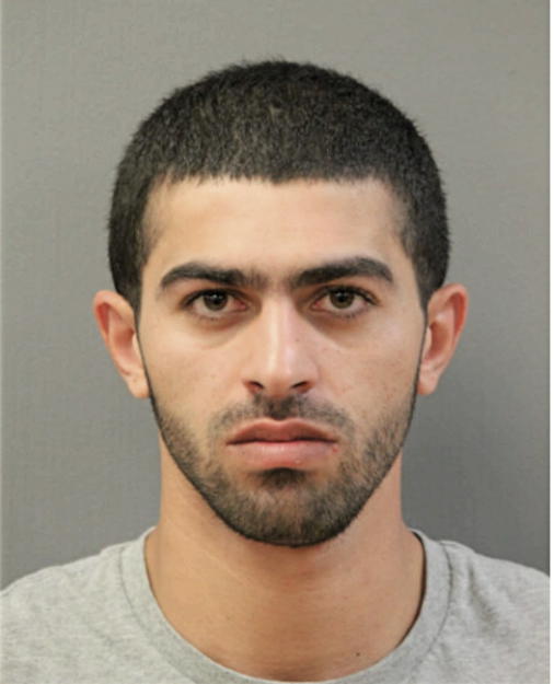 ISLAM M ALBARMAWI, Cook County, Illinois