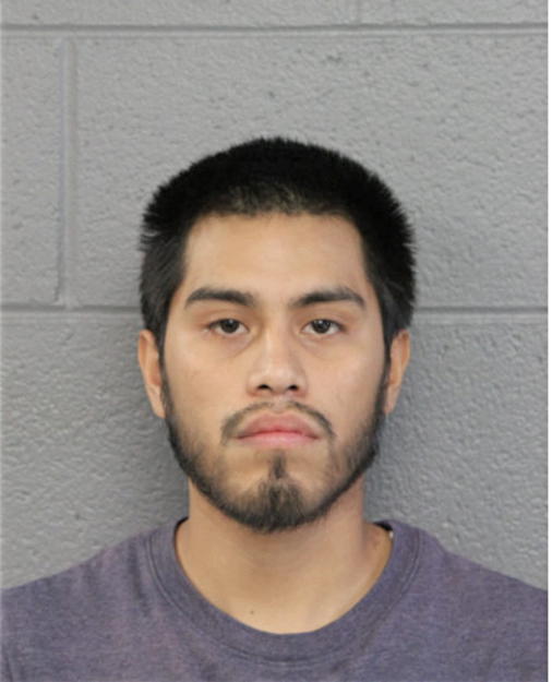 JOEL S ANDRADE, Cook County, Illinois