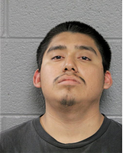 VICENTE BUENO, Cook County, Illinois