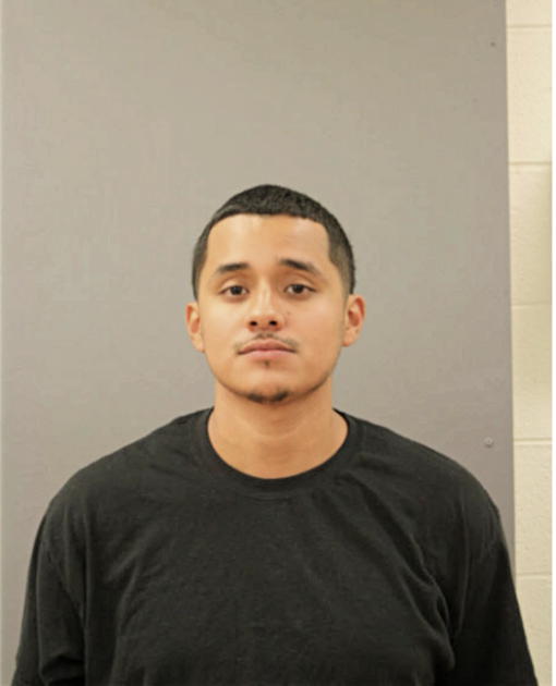 FRANCISCO J CASARRUBIAS, Cook County, Illinois