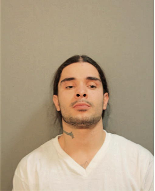ROY G CORTEZ, Cook County, Illinois
