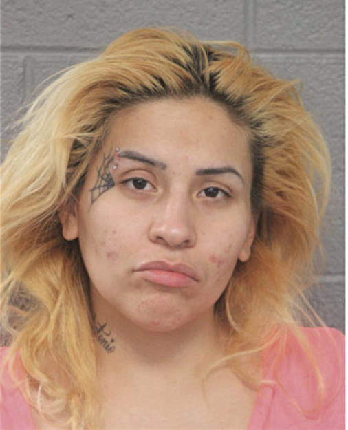 ROSARIO GONZALEZ, Cook County, Illinois