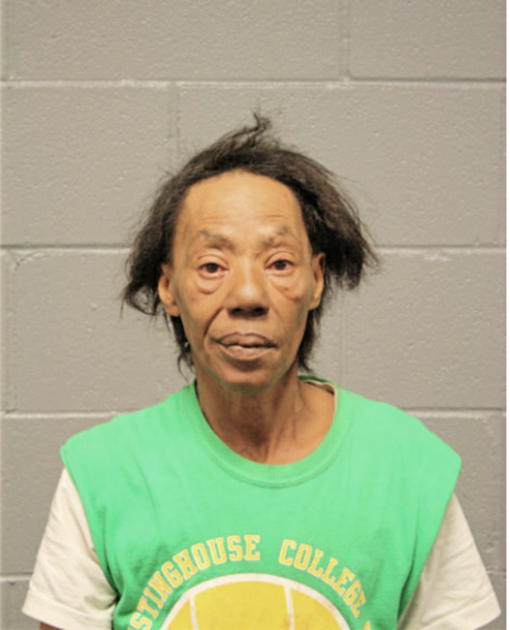 MARGARET N HUDDLESTON, Cook County, Illinois