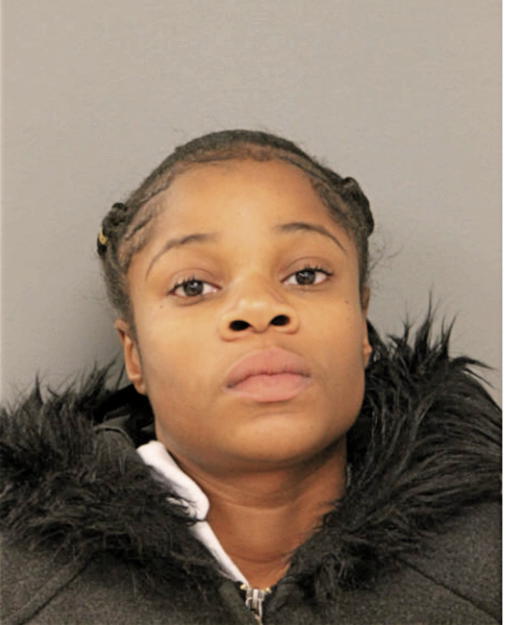 TERRI L JENKINS, Cook County, Illinois